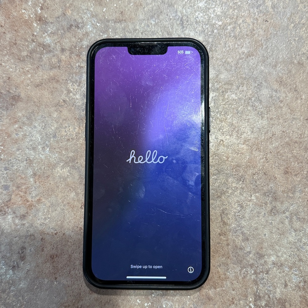 iPhone 13 Pro Max with case